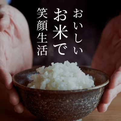 【先行予約】《令和7年産》くまさんの輝き 5kg×2袋 合計10kg 熊本県産