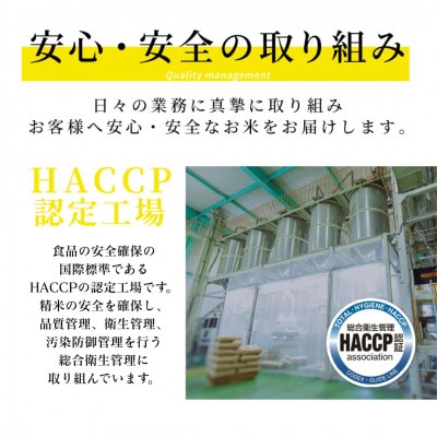 【先行予約】《令和7年産》くまさんの輝き 5kg×2袋 合計10kg 熊本県産