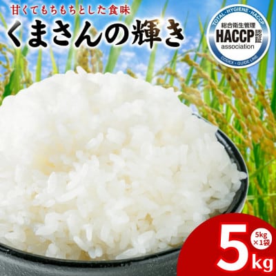 【先行予約】《令和7年産》くまさんの輝き 5kg×1袋 計5kg 熊本県産