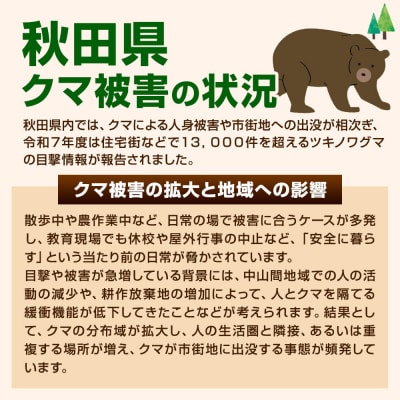 【先行受付】熊肉 500g 冷凍 秋田県産|25_ais-010501