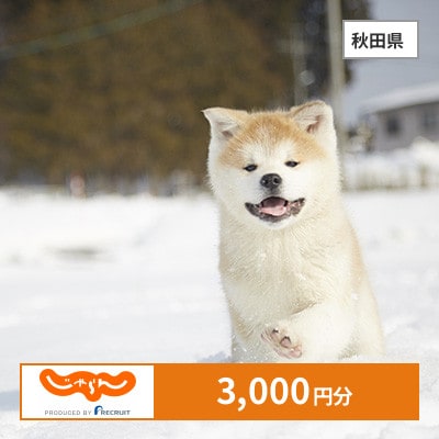【じゃらんふるさと納税クーポン】 秋田県でつかえる3,000円 クーポン