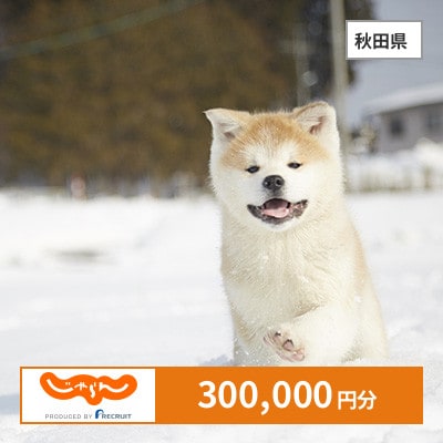 【じゃらんふるさと納税クーポン】 秋田県でつかえる300,000円 クーポン