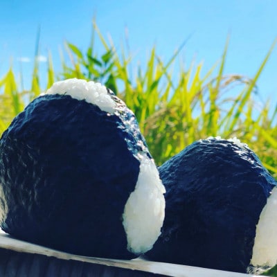重ちゃんの愛情込めて作ったコシヒカリ無洗米ペットボトル300g×10本　R6年産