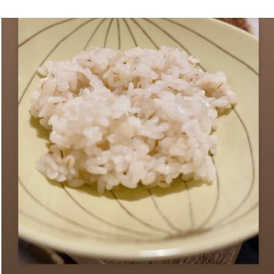 重野農産ペットボトル米(コシヒカリ×もち麦)×10本　R6年産