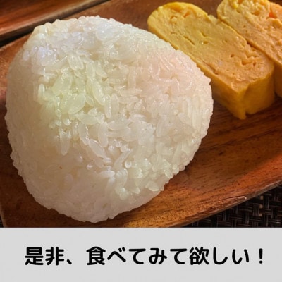 重米食べ比べセット　R6年産