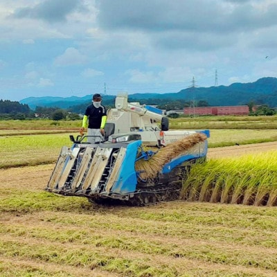 田村農産のコシヒカリ 無洗米 26.5kg