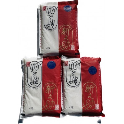 【毎月定期便】田村農産の新之助　無洗米　6kg(2kg×3)全3回