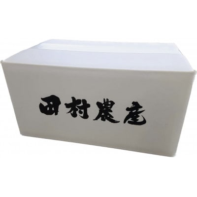 【毎月定期便】田村農産の新之助　無洗米　6kg(2kg×3)全3回