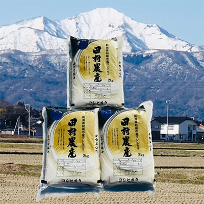 2024年2月発送開始『定期便』コシヒカリ 無洗米　6kg(2kg×3) 全3回