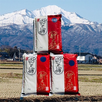 2023年8月発送開始『定期便』田村農産の新之助　無洗米　6kg(2kg×3)全6回