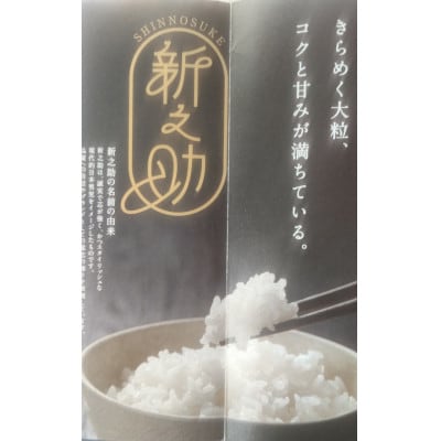 特別栽培米　新潟県柏崎産「新之助」5kg×2袋(計10kg)【五ツ星お米マイスター厳選】