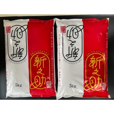 【令和7年産】特別栽培米　新潟県柏崎産「新之助」5kg×2袋【五ツ星お米マイスター厳選】白米
