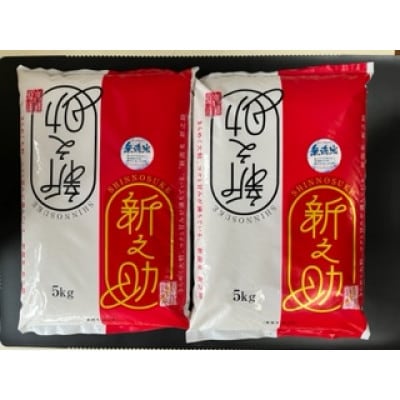 【令和7年産】【無洗米】特別栽培米　新潟県柏崎産「新之助」5kg×2袋　【五ツ星お米マイスター厳選】