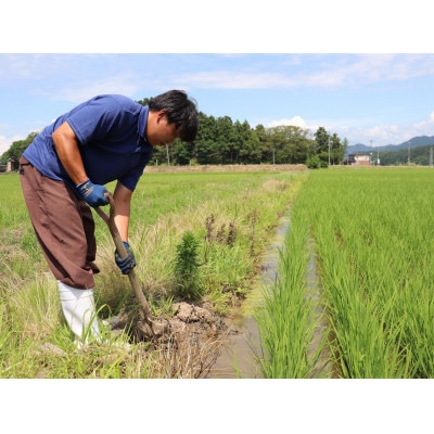 【特別栽培米!新之助&コシヒカリ】無洗米各2kg◆令和6年産◆お米食べ比べ計4kg(精米)