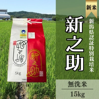 【特別栽培米 新之助】無洗米15kg(5kg×3)◆令和6年産◆新米◆精米