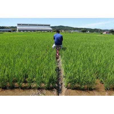 【特別栽培米 新之助】無洗米15kg(5kg×3)◆令和6年産◆新米◆精米