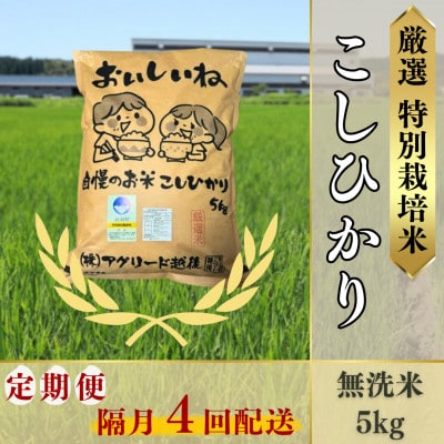 【2ヵ月毎定期便】無洗米コシヒカリ5kg◆大粒厳選◆厳選特別栽培米全4回