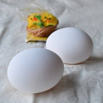 【焼き菓子専門店ベイクショップ コナ】季節のお菓子詰め合わせ(6種類)