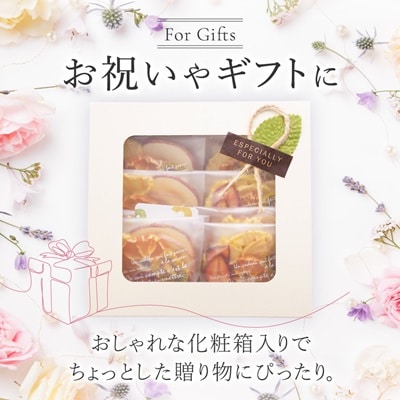 完熟イチゴがたっぷり入った砂糖を使っていないドライフルーツ詰め合わせ　10g×10袋