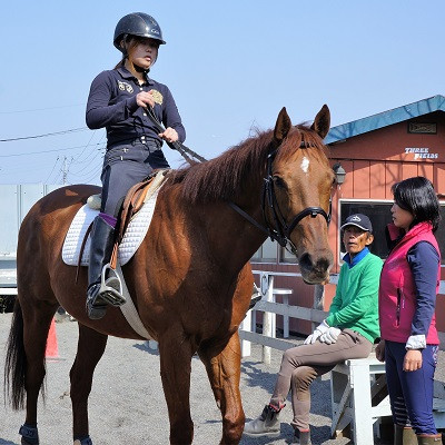 乗馬レッスン　1講習(騎乗時間30分)