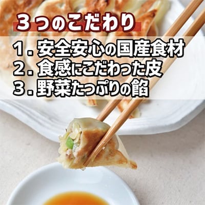 【国産素材】自家製モチモチ皮の手包み餃子(黄金色のカレー・風味抜群のエビ・やさしい横堀餃子)30ヶ