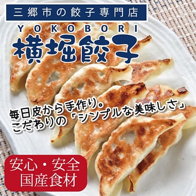 【国産素材】自家製モチモチ皮の手包み餃子(黄金色のカレー・風味抜群のエビ・やさしい横堀餃子)55ヶ