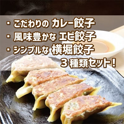 【国産素材】自家製モチモチ皮の手包み餃子(黄金色のカレー・風味抜群のエビ・やさしい横堀餃子)55ヶ