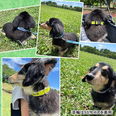 「Onburt」お仕立券 刺繍 名入れ オリジナル 犬 お散歩 首輪リードセット 小型 中型