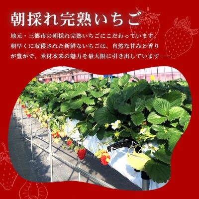 【引換チケット】季節のフルーツデコレーションケーキ 5号サイズ|手作り 埼玉県三郷市