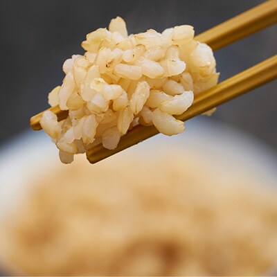 多古米パックご飯　白米・玄米セット18パック(白米150g×9パック、玄米150g×9パック)