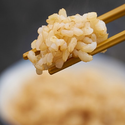 【令和6年産】たこまいらいふ萩原農場の多古米コシヒカリ(玄米)10kg