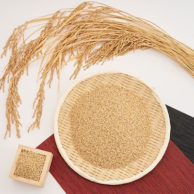 【令和6年産】たこまいらいふ萩原農場の多古米コシヒカリ(玄米)10kg