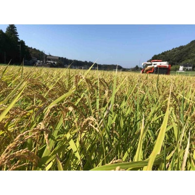 【令和6年産】たこまいらいふ萩原農場の多古米コシヒカリ(精米)3kg