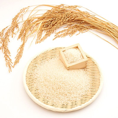 【毎月定期便】たこまいらいふ萩原農場の多古米コシヒカリ(精米)5kg全3回