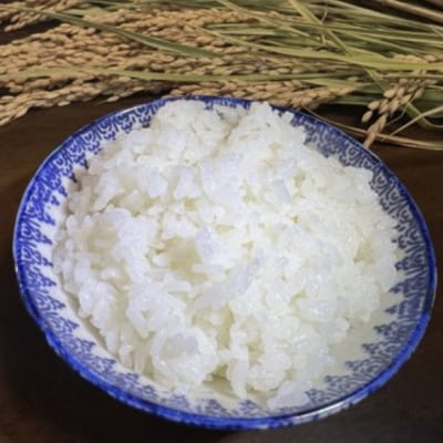 【毎月定期便】たこまいらいふ萩原農場の多古米コシヒカリ(精米)5kg全6回