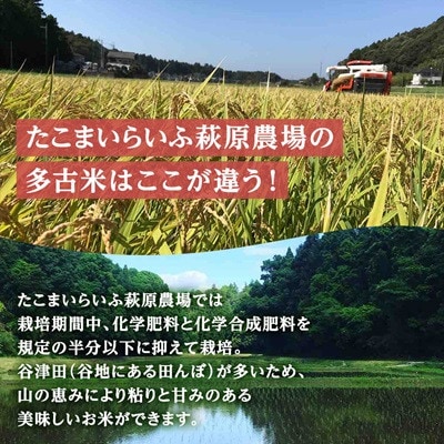 【毎月定期便】たこまいらいふ萩原農場の多古米コシヒカリ(精米5kg)全12回