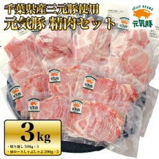 【農場直送】千葉県産三元豚 元気豚 精肉セット 3kg