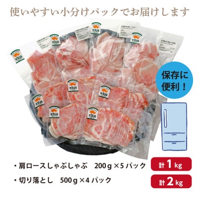 【小分け】千葉県産 三元豚 元気豚 豚肉詰め合わせ 3kg(肩ロース・切り落とし)