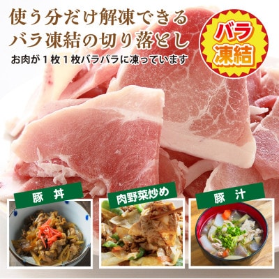 【小分け】千葉県産 三元豚 元気豚 豚肉詰め合わせ 3kg(肩ロース・切り落とし)