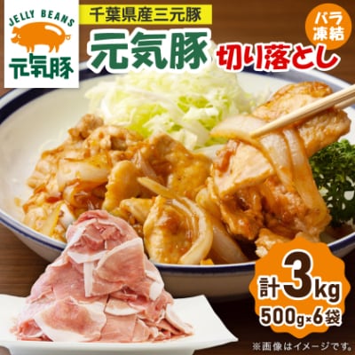 【小分けで便利】国産 元気豚 切り落とし 3kg(500g×6袋)　千葉県産三元豚　パラパラ凍結