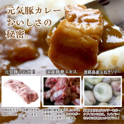 元気豚 レトルトポークカレー 10食セット(200g×10袋・計2kg)【常温保存】