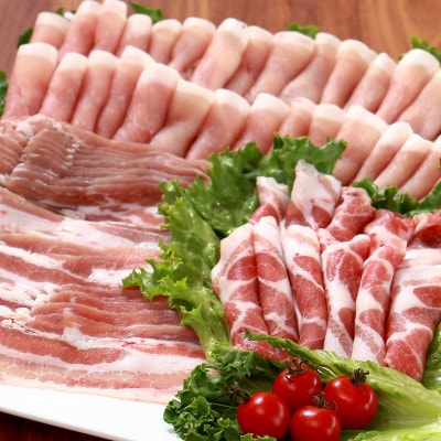 千葉県産豚肉　元気豚 精肉4種セット　1.7kg