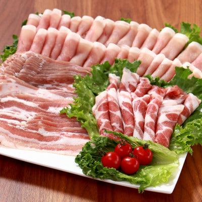 千葉県産豚肉　元気豚 精肉4種セット【大盛り】　2.6kg