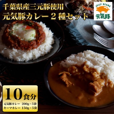 元気豚カレー2種セット(元気豚カレー 5P、キーマカレー 5P　計10食分)【保存食・備蓄・ギフト】