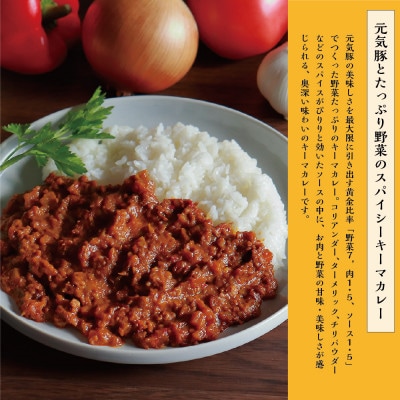 元気豚カレー2種セット(元気豚カレー 5P、キーマカレー 5P　計10食分)【保存食・備蓄・ギフト】