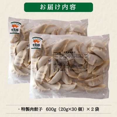 【千葉県産三元豚】元気豚　特製肉餃子 1.2kg(20g×60個)