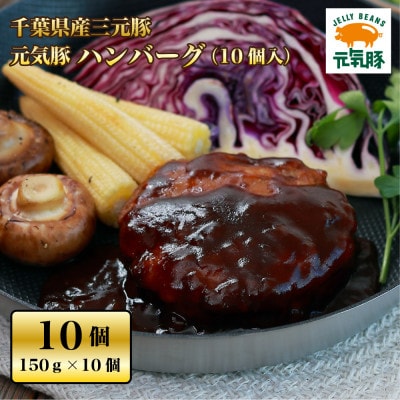 元気豚　ハンバーグセット(10個入)