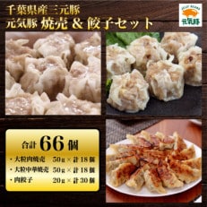【2024年3月上旬発送】元気豚　焼売&餃子セット(合計66個)