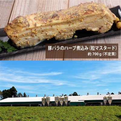 【ギフト】元気豚　洋風プレミアムセット