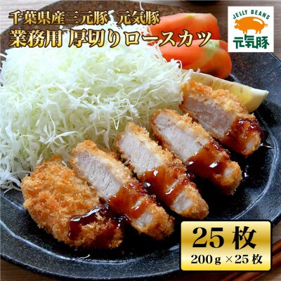 元気豚 業務用 厚切りロースカツ 5kg(200g×25枚入)